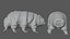 3D Rigged Tardigrade water bear