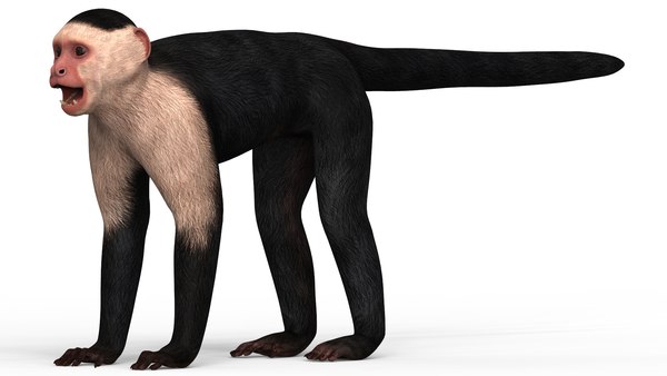 Macaco de personagem de desenho animado Modelo 3D $49 - .3ds .lwo .obj -  Free3D