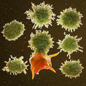 cancer cell 3D model