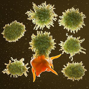 Cancer 7 cell pack