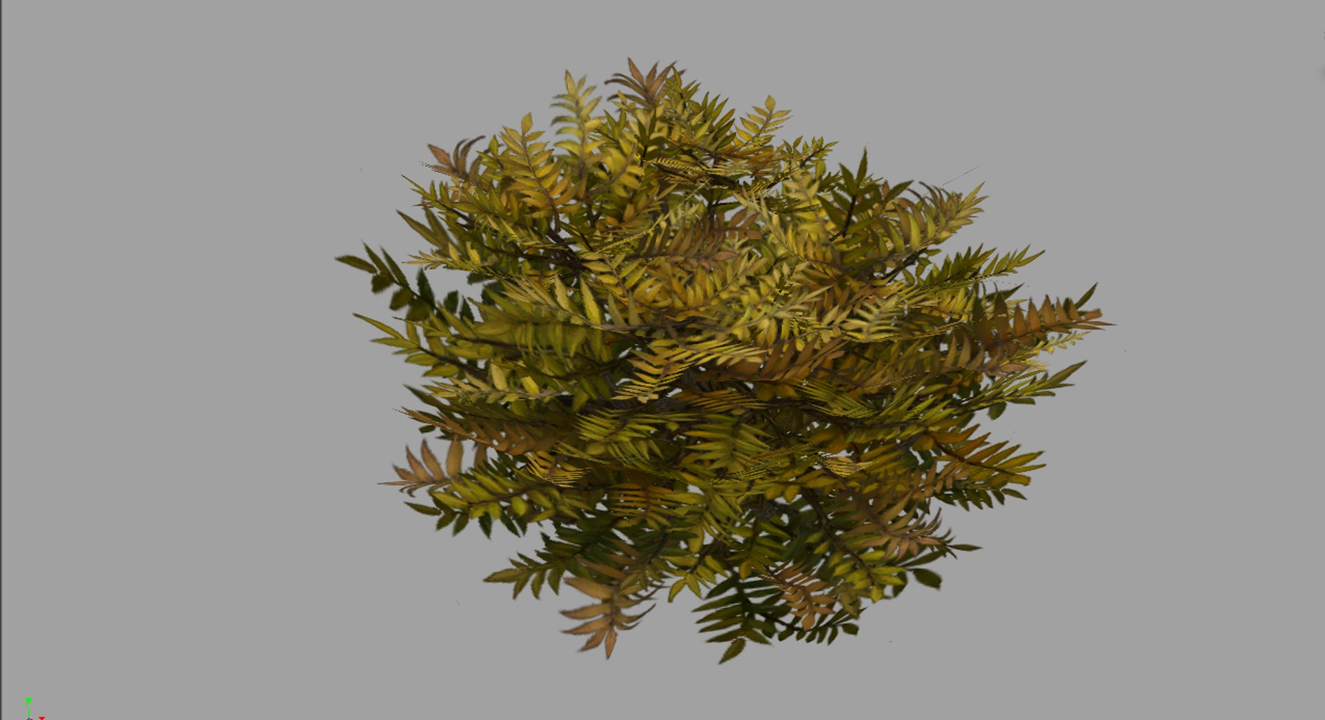 3d plants https://p.turbosquid.com/ts-thumb/w8/a9Z2YH/B7ck4pKw/04/jpg/1487305663/1920x1080/fit_q87/fcb9b55a77100ab050a146222e7ea4d002e7d745/04.jpg