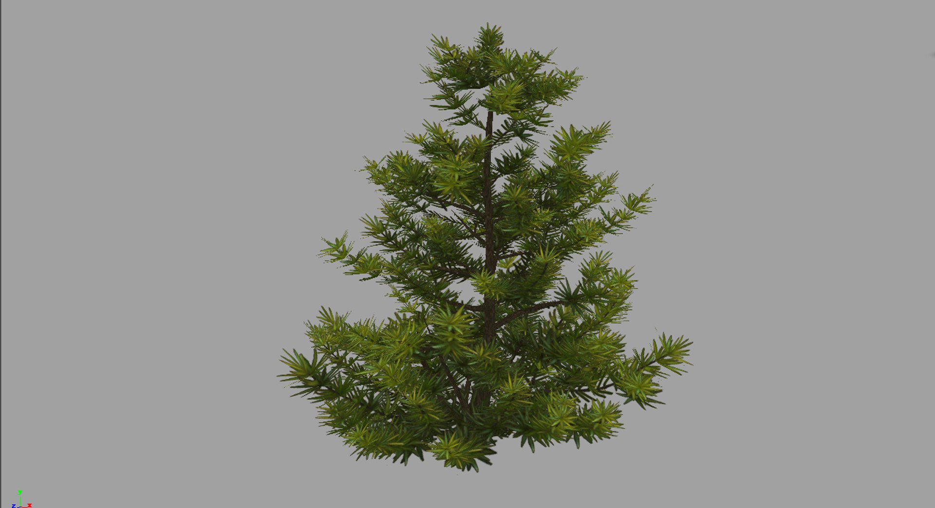 3d plants https://p.turbosquid.com/ts-thumb/w8/a9Z2YH/GX3A74cj/03/jpg/1487305418/1920x1080/fit_q87/246591e36dc4809a2abdd239d5724c5dfe6aaadd/03.jpg