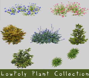 LowPoly Plant Collection