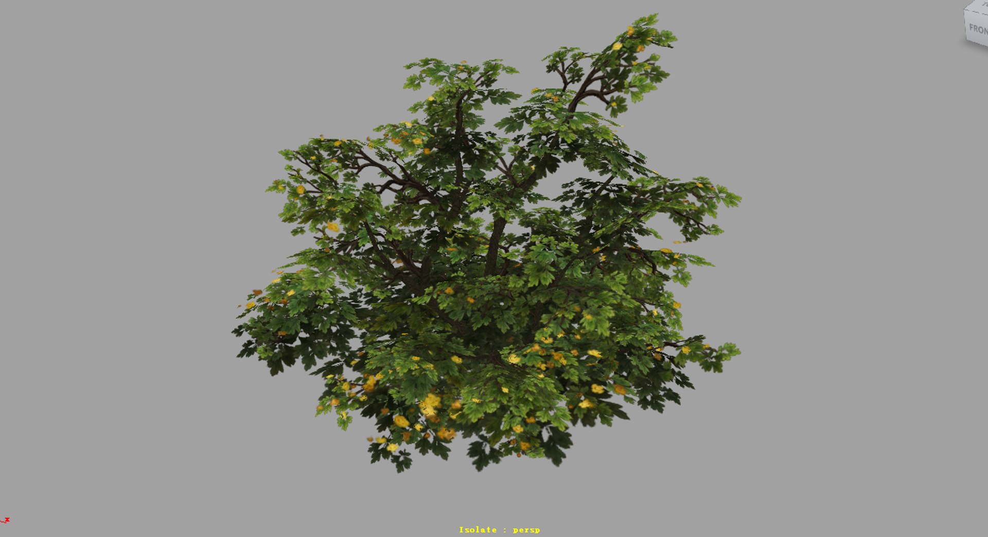 3d plants https://p.turbosquid.com/ts-thumb/w8/a9Z2YH/mY4uRjGU/02/jpg/1487305520/1920x1080/fit_q87/2018de6eadece674bb19cf3797e31abe88c1f692/02.jpg