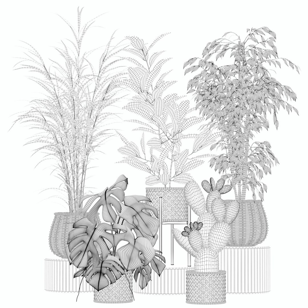 3D model 20 Photorealistic Flowers for Interiors - set 202 206 210 218 https://p.turbosquid.com/ts-thumb/w8/aBVGu4/LI/10/jpg/1718621865/1920x1080/fit_q87/b28158e7ec30767dabd41b111bf251cbd847990b/10.jpg