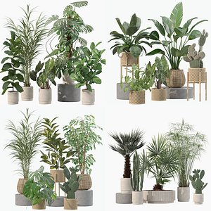 3D model 20 Photorealistic Flowers for Interiors - set 202 206 210 218