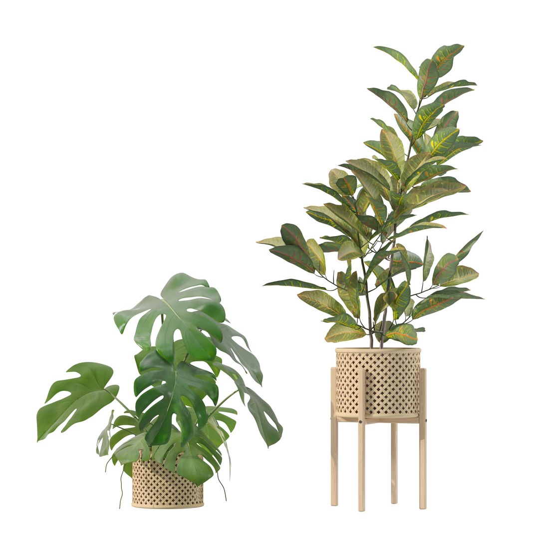 3D model 20 Photorealistic Flowers for Interiors - set 202 206 210 218 https://p.turbosquid.com/ts-thumb/w8/aBVGu4/rv/2/jpg/1718621852/1920x1080/fit_q87/7dfe1d71d5c054292065fbac3adf3d7e428e7593/2.jpg