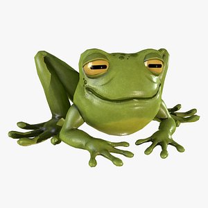 stylized cartoon frog 3D model