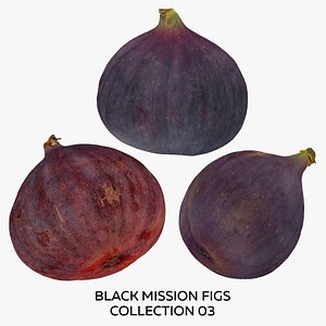 3D Black Mission Figs Collection 03 - 3 models RAW Scans