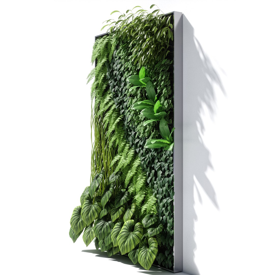 3D vertical garden 02 model https://p.turbosquid.com/ts-thumb/w8/kJdb1N/8ZKl9Gtc/v02/jpg/1513093185/1920x1080/fit_q87/4117faf47db3a9f762dd77776423ff43f5b3dce9/v02.jpg