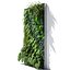 vertical garden 02