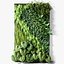 vertical garden 02