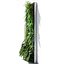 vertical garden 02