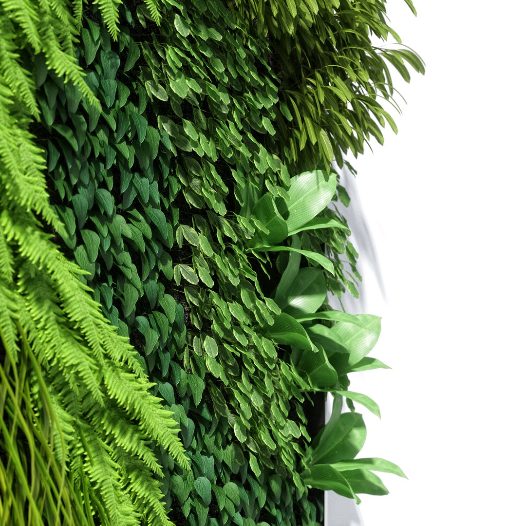 3D vertical garden 02 model https://p.turbosquid.com/ts-thumb/w8/kJdb1N/M079bnmP/v05/jpg/1513093246/1920x1080/fit_q87/00f977452ab86036c863003d94c31a91526fc512/v05.jpg