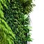vertical garden 02