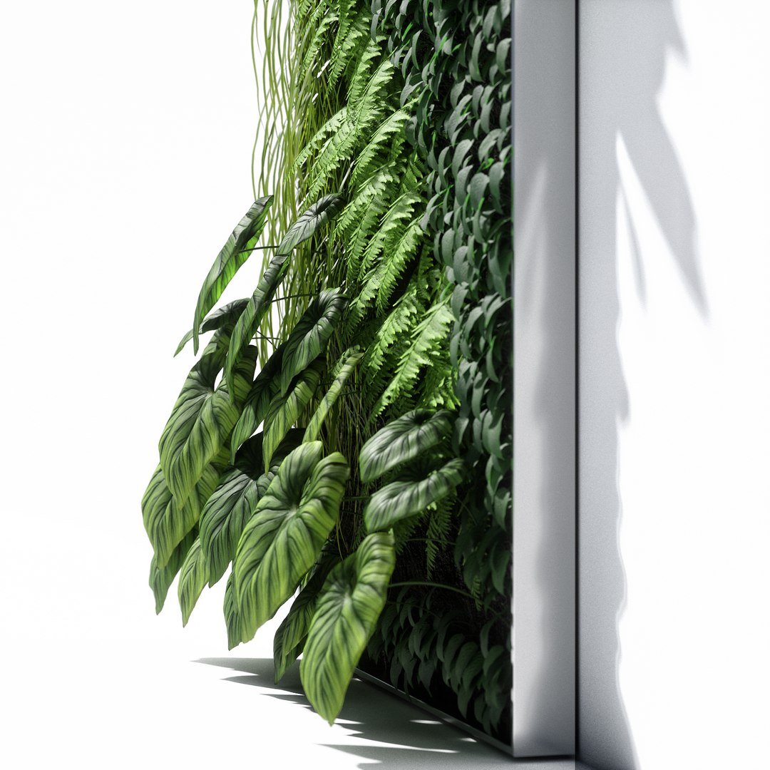3D vertical garden 02 model https://p.turbosquid.com/ts-thumb/w8/kJdb1N/yZ1S740z/v04/jpg/1513093227/1920x1080/fit_q87/0ba3d07ff125aca97568292612d0f1bf75e19928/v04.jpg