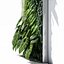 vertical garden 02