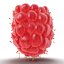 Ripe Raspberry 2 with Fur