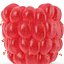 Ripe Raspberry 2 with Fur