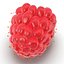 Ripe Raspberry 2 with Fur