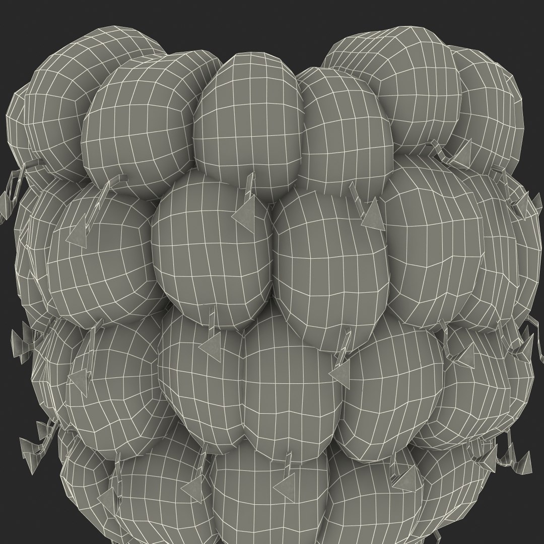 3dsmax raspberry 5 fur https://p.turbosquid.com/ts-thumb/w8/mV2Jut/RNcrA6k6/raspberry3dmodel5withfur28/jpg/1426690898/1920x1080/fit_q87/1e996710006b3afef6a41ec793b68eb645b959f4/raspberry3dmodel5withfur28.jpg