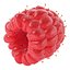 Ripe Raspberry 2 with Fur