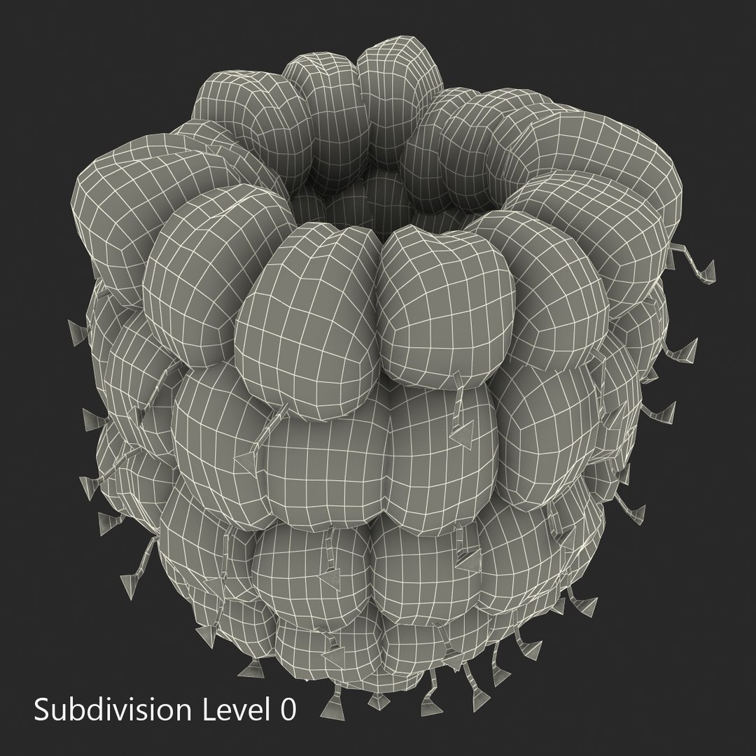 3dsmax raspberry 5 fur https://p.turbosquid.com/ts-thumb/w8/mV2Jut/nbk0yiCm/raspberry3dmodel5withfur17/jpg/1426690897/1920x1080/fit_q87/293355ca416336e226cf3002b86247e69348f8a0/raspberry3dmodel5withfur17.jpg