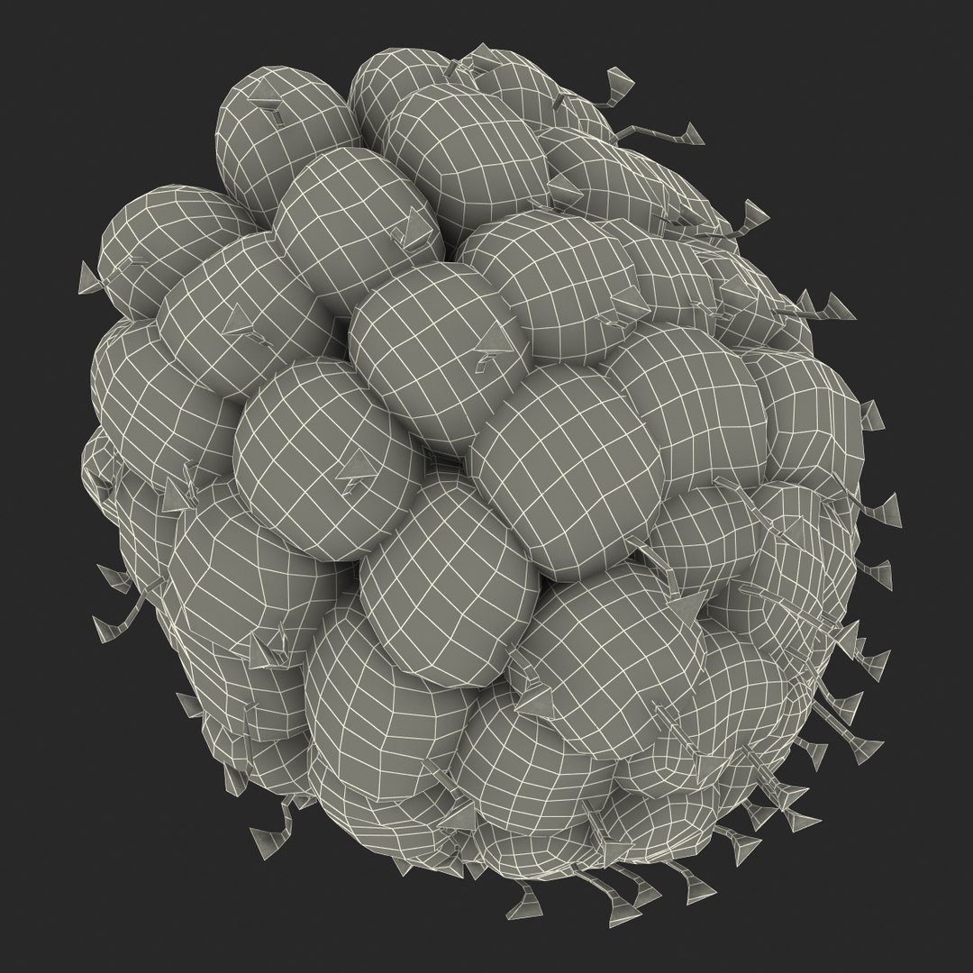 3dsmax raspberry 5 fur https://p.turbosquid.com/ts-thumb/w8/mV2Jut/skF3slVs/raspberry3dmodel5withfur25/jpg/1426690898/1920x1080/fit_q87/c5fad015c376db82fc78daa8300a90d6ac72d06e/raspberry3dmodel5withfur25.jpg