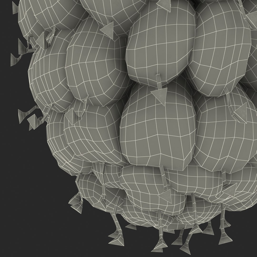 3dsmax raspberry 5 fur https://p.turbosquid.com/ts-thumb/w8/mV2Jut/vxKUBhM4/raspberry3dmodel5withfur29/jpg/1426690898/1920x1080/fit_q87/eac88e3bef7e03dccaefe197d83b28df58efe4ea/raspberry3dmodel5withfur29.jpg