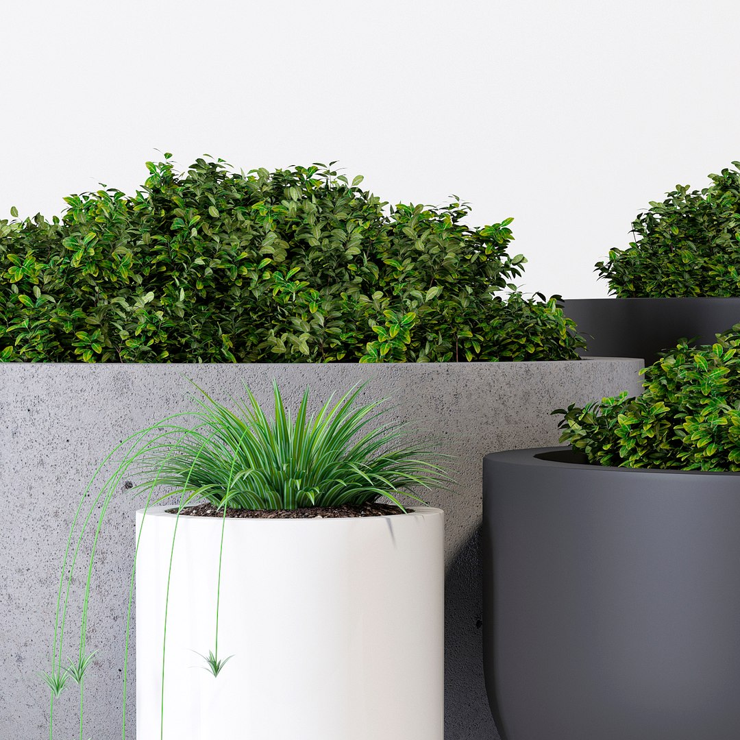 3D pots dice l https://p.turbosquid.com/ts-thumb/w8/nFFc86/2QiJ8lHh/ppj6_3/jpg/1533243071/1920x1080/fit_q87/e671547d4900594cf57dcb4aa4eb672a68c23f9a/ppj6_3.jpg