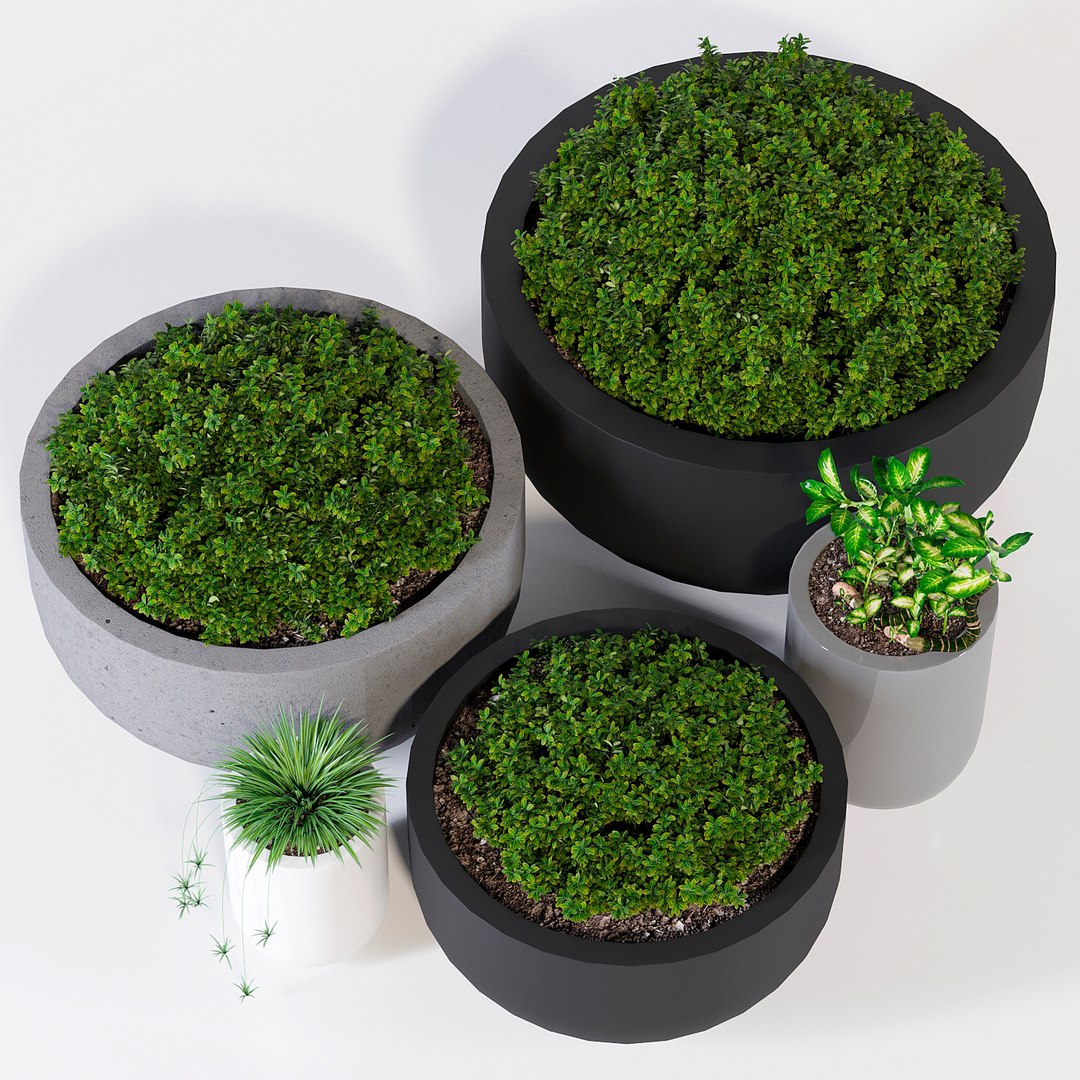 3D pots dice l https://p.turbosquid.com/ts-thumb/w8/nFFc86/9THd1VnP/ppj2_3/jpg/1533243040/1920x1080/fit_q87/d3a7147a3b467808c62c1c863abb85ceef9110b7/ppj2_3.jpg