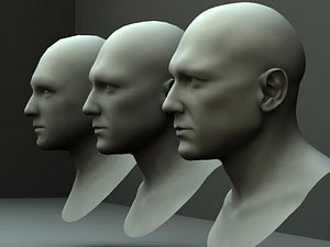 3 Male Heads/ Busts