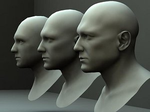 3 Male Heads/ Busts