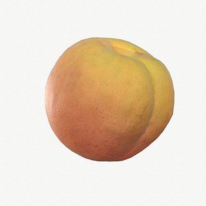 3D 02 apricot fruit modeled
