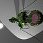 plante