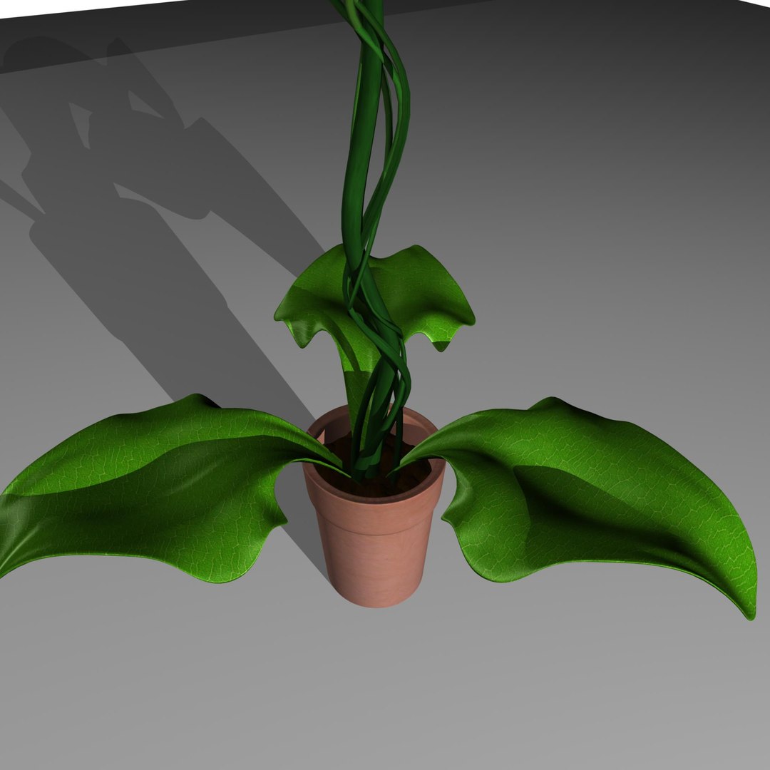 carnivorous plant 3d obj https://p.turbosquid.com/ts-thumb/w8/s0WN7d/yKJXJaJU/plant74/jpg/1359991634/1920x1080/fit_q87/e917ef34a804d34c889231de3ef1199c17044799/plant74.jpg