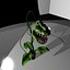 plante