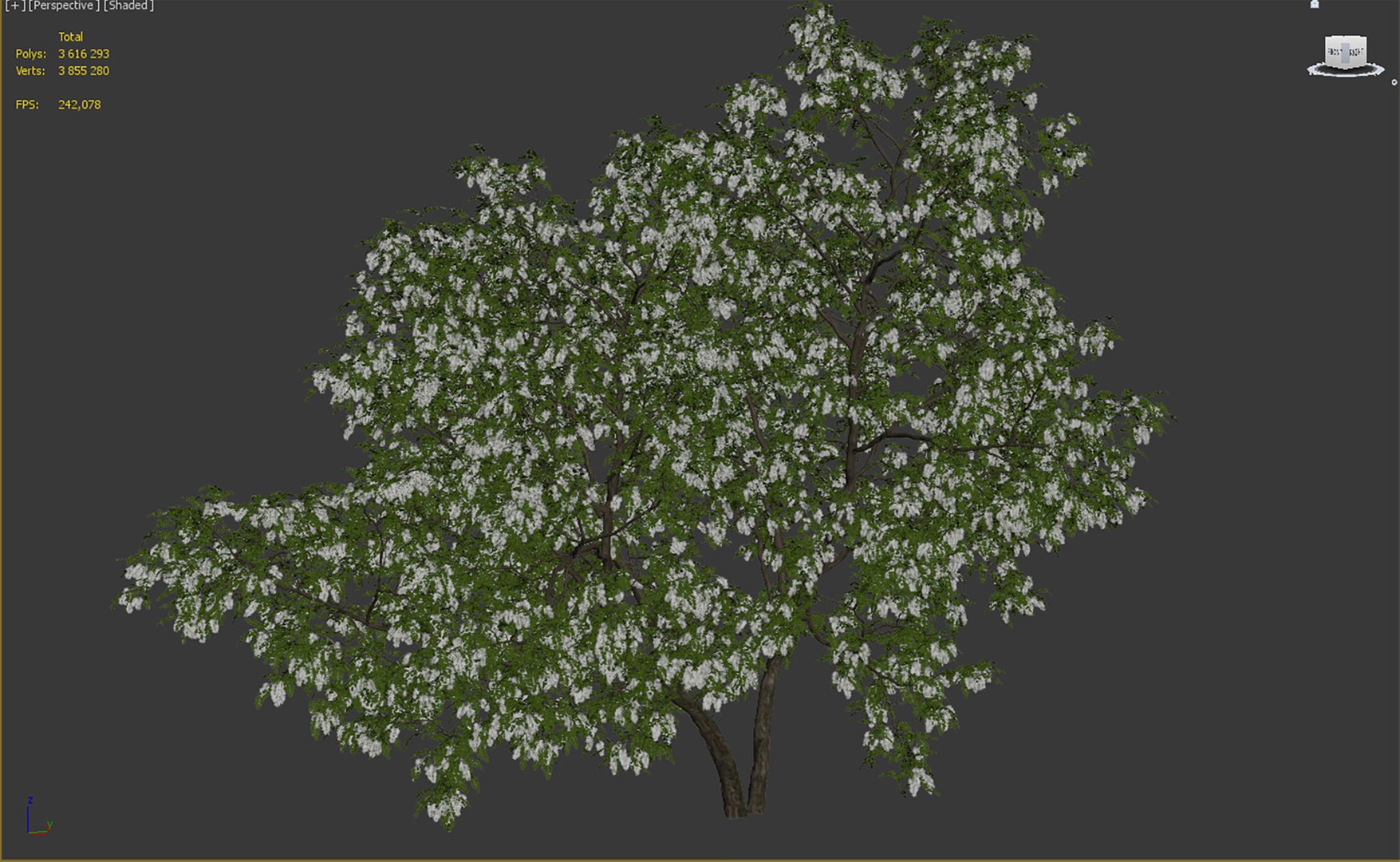 3D acacia tree model https://p.turbosquid.com/ts-thumb/w8/sbMzZ9/41/1t6/jpg/1614425835/1920x1080/fit_q87/e4c8959873eb830d6b7df7eaf866946f5a690c43/1t6.jpg