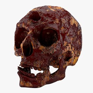 3D Horror Human Skull model