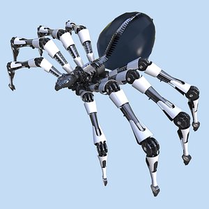 spider 3D model