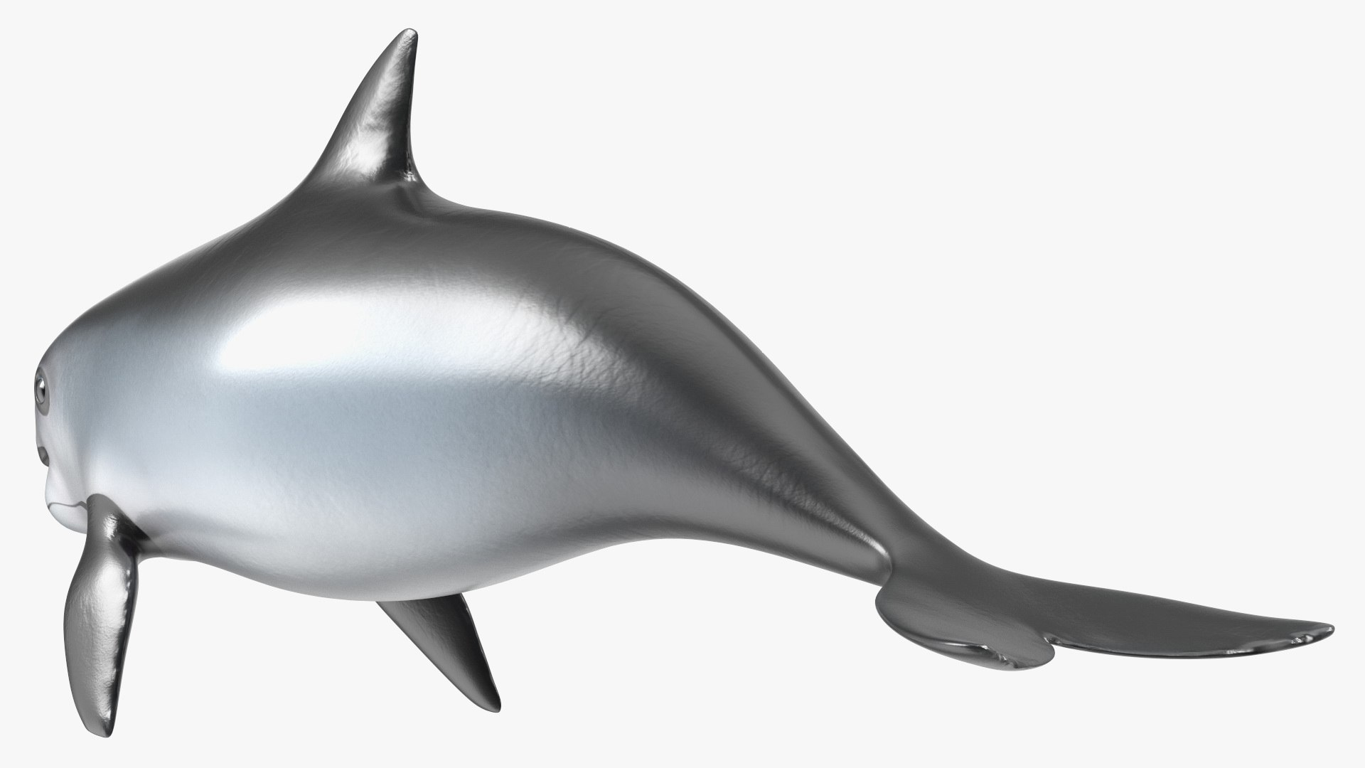 Smallest Cetacean Vaquita Rigged for Cinema 4D 3D https://p.turbosquid.com/ts-thumb/w9/H6roxm/9c/smallestcetaceanvaquitariggedforcinema4dvray3dmodel032/jpg/1709934416/1920x1080/fit_q87/0dd995f21e21f690f5c4752f7f559511b2072c9d/smallestcetaceanvaquitariggedforcinema4dvray3dmodel032.jpg