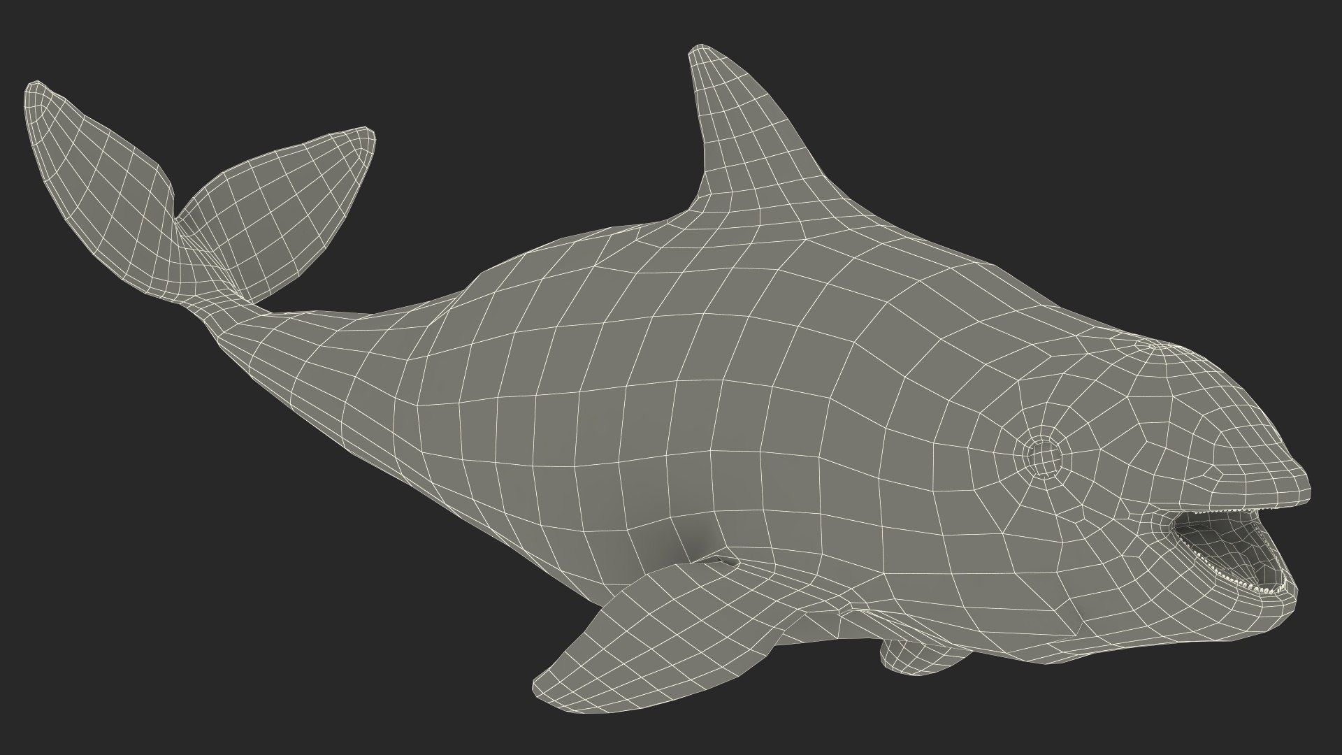 Smallest Cetacean Vaquita Rigged for Cinema 4D 3D https://p.turbosquid.com/ts-thumb/w9/H6roxm/CB/smallestcetaceanvaquitariggedforcinema4dvray3dmodel043/jpg/1709934472/1920x1080/fit_q87/67f46c6c8a1e2754d1095a60ea85d4eb1282fe93/smallestcetaceanvaquitariggedforcinema4dvray3dmodel043.jpg