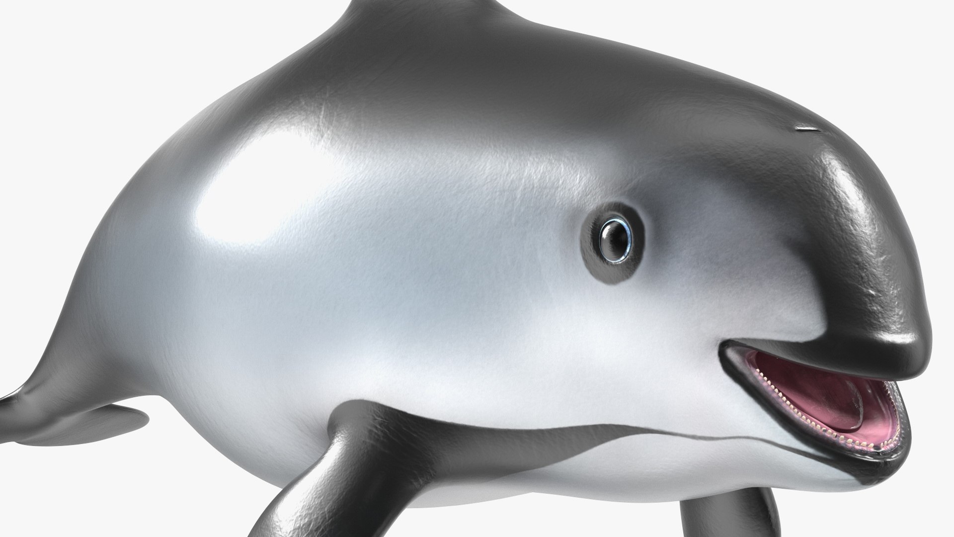 Smallest Cetacean Vaquita Rigged for Cinema 4D 3D https://p.turbosquid.com/ts-thumb/w9/H6roxm/FH/smallestcetaceanvaquitariggedforcinema4dvray3dmodel036/jpg/1709934436/1920x1080/fit_q87/6b7ed819a9458ef540f1f8f692ee3974ed8745c7/smallestcetaceanvaquitariggedforcinema4dvray3dmodel036.jpg