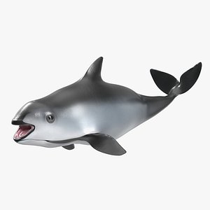 Smallest Cetacean Vaquita Rigged for Cinema 4D 3D