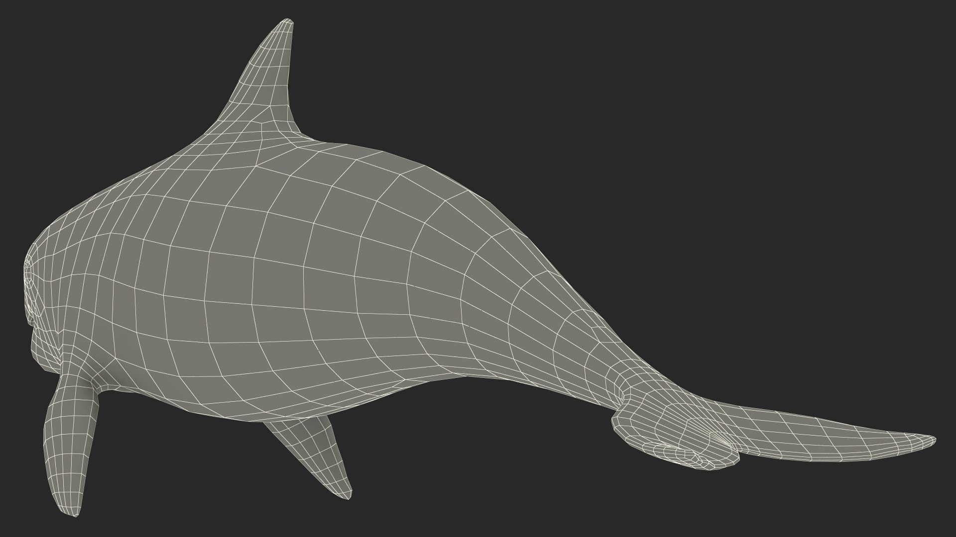 Smallest Cetacean Vaquita Rigged for Cinema 4D 3D https://p.turbosquid.com/ts-thumb/w9/H6roxm/Pz/smallestcetaceanvaquitariggedforcinema4dvray3dmodel044/jpg/1709934476/1920x1080/fit_q87/ba985c91f89ca981a9bb562c37f38fa218437341/smallestcetaceanvaquitariggedforcinema4dvray3dmodel044.jpg