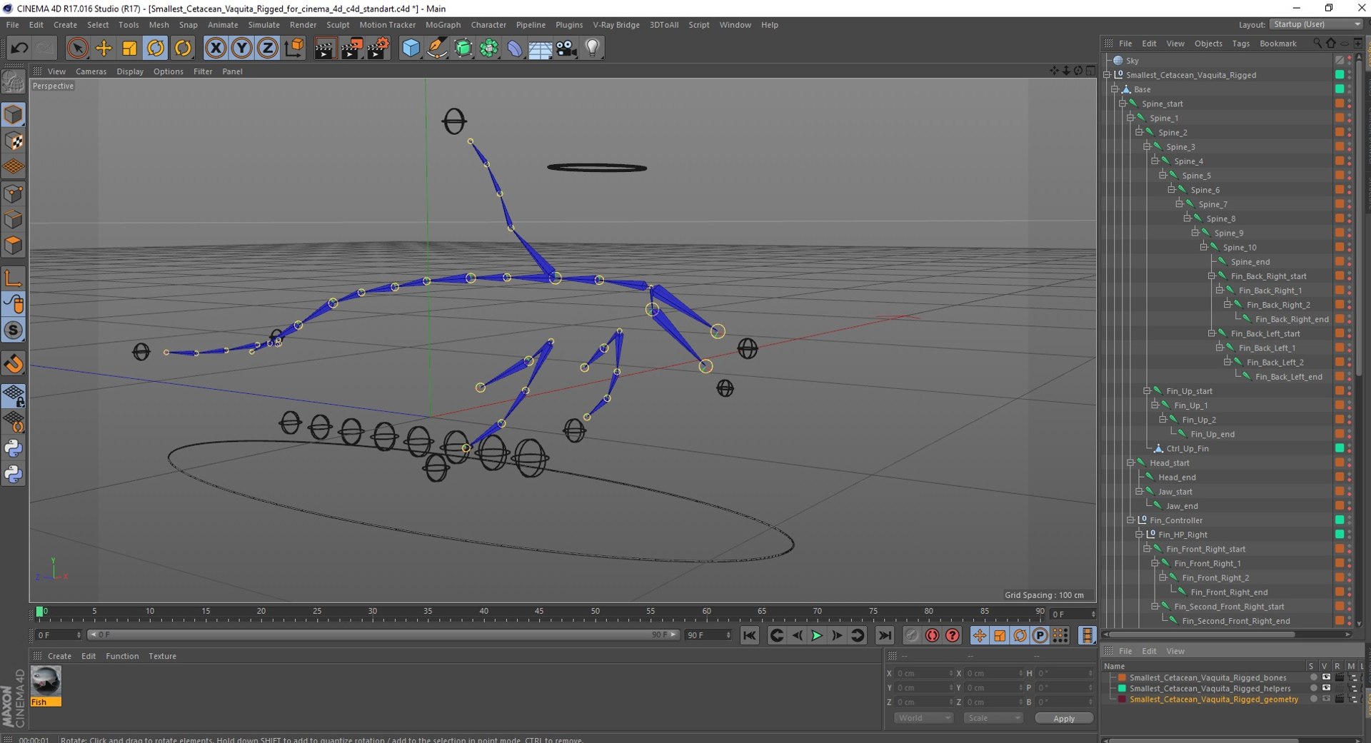 Smallest Cetacean Vaquita Rigged for Cinema 4D 3D https://p.turbosquid.com/ts-thumb/w9/H6roxm/bf/smallestcetaceanvaquitariggedforcinema4dvray3dmodel062/jpg/1709934513/1920x1080/fit_q87/8ce33c5144b4ddf6ffaffe8d8d7d80b8e7e38a46/smallestcetaceanvaquitariggedforcinema4dvray3dmodel062.jpg