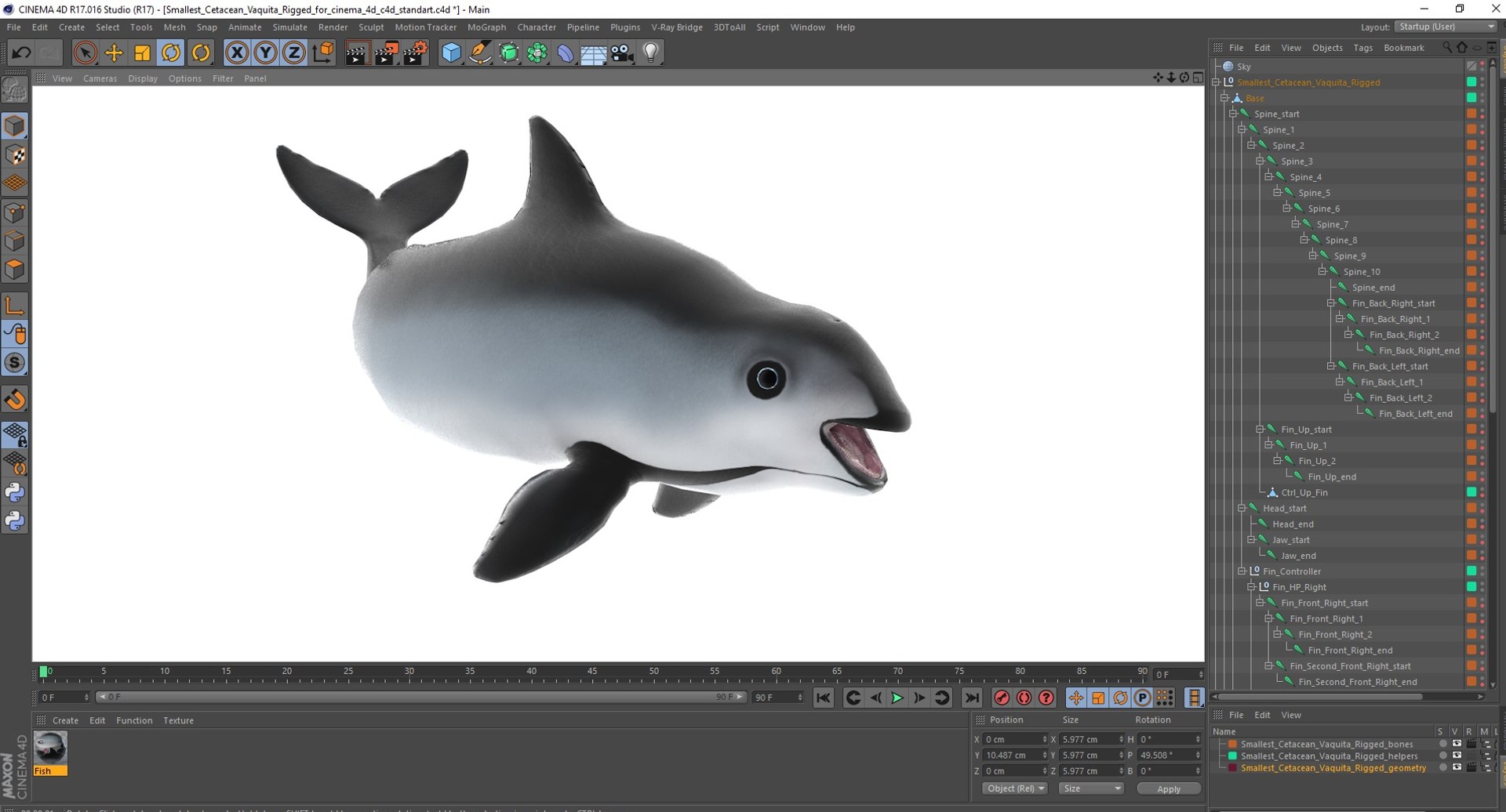 Smallest Cetacean Vaquita Rigged for Cinema 4D 3D https://p.turbosquid.com/ts-thumb/w9/H6roxm/cu/smallestcetaceanvaquitariggedforcinema4dvray3dmodel063/jpg/1709934517/1920x1080/fit_q87/d0205fa834b26372a3f5d1804065ad27528c9b7c/smallestcetaceanvaquitariggedforcinema4dvray3dmodel063.jpg