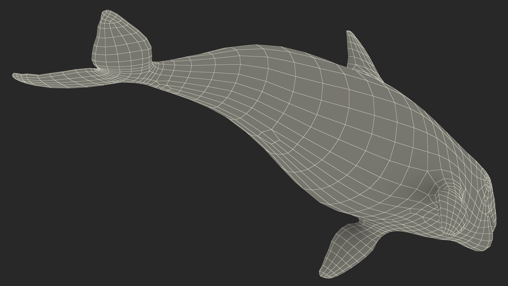 Smallest Cetacean Vaquita Rigged for Cinema 4D 3D https://p.turbosquid.com/ts-thumb/w9/H6roxm/os/smallestcetaceanvaquitariggedforcinema4dvray3dmodel045/jpg/1709934481/1920x1080/fit_q87/668e3cc5b00171da6598b6b278c0364f1a309038/smallestcetaceanvaquitariggedforcinema4dvray3dmodel045.jpg