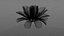 Fiore lunare
