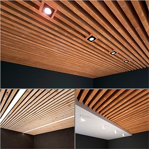 3D wooden wood ceiling model